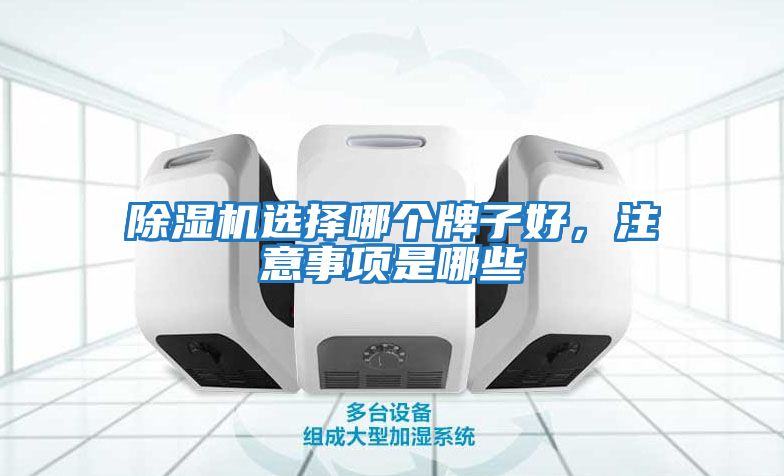 除濕機(jī)選擇哪個牌子好，注意事項是哪些