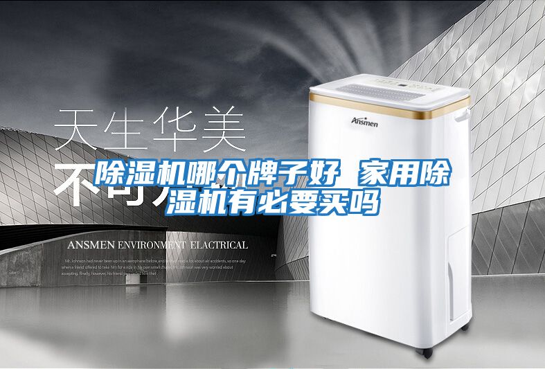 除濕機(jī)哪個(gè)牌子好 家用除濕機(jī)有必要買(mǎi)嗎