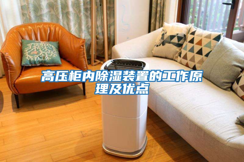 高壓柜內除濕裝置的工作原理及優(yōu)點