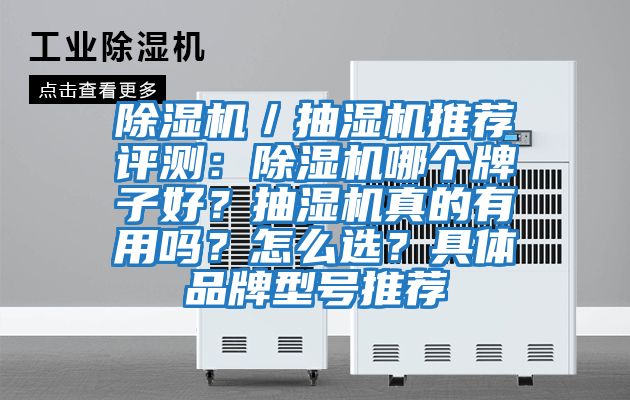 除濕機(jī)／抽濕機(jī)推薦評測：除濕機(jī)哪個牌子好？抽濕機(jī)真的有用嗎？怎么選？具體品牌型號推薦