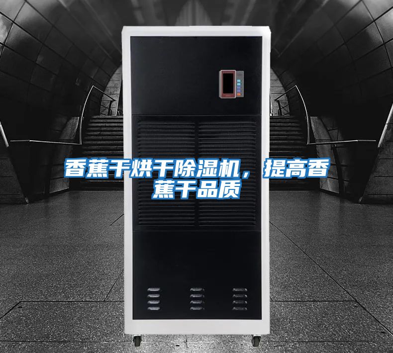 香蕉干烘干除濕機，提高香蕉干品質