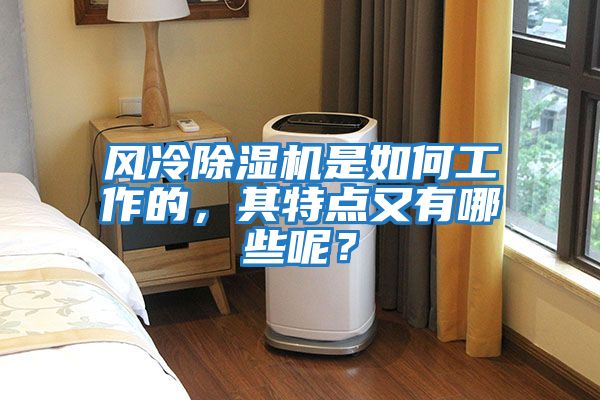 風冷除濕機是如何工作的，其特點又有哪些呢？