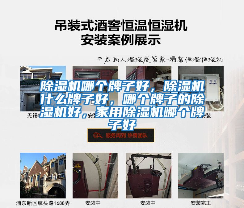 除濕機哪個牌子好，除濕機什么牌子好，哪個牌子的除濕機好，家用除濕機哪個牌子好