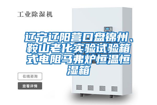 遼寧遼陽營口盤錦州、鞍山老化實驗試驗箱式電阻馬弗爐恒溫恒濕箱