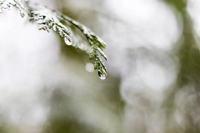 空氣濕度大帶來的危害有哪些，你知道嗎？
