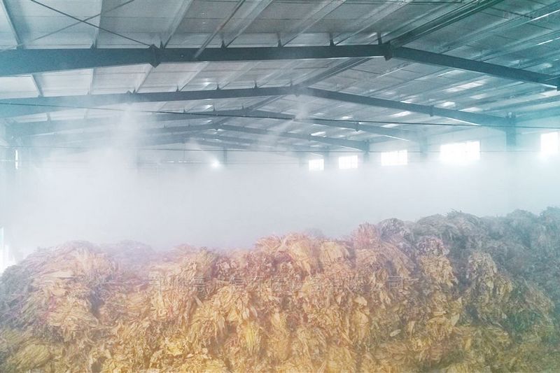 提升煙葉加工質量，高效回潮很重要 煙葉除濕機
